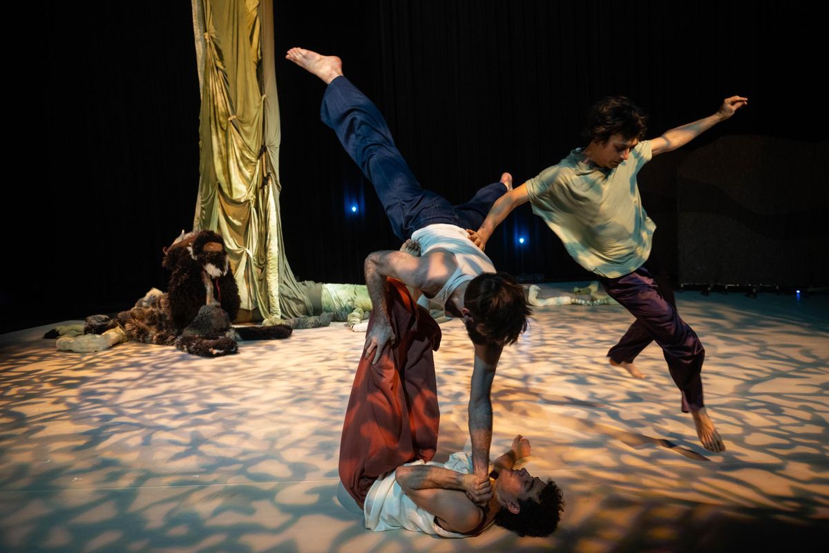 De Dansers | Chassé Theater Breda