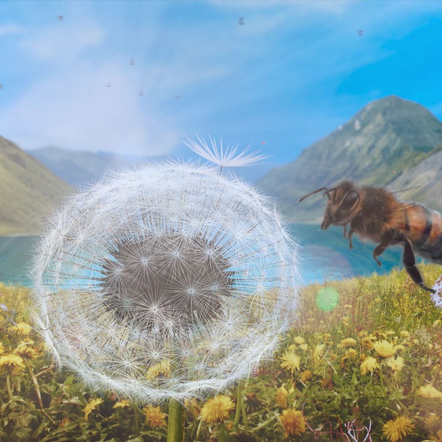 Dandelion's Odyssey | Chassé Cinema Breda