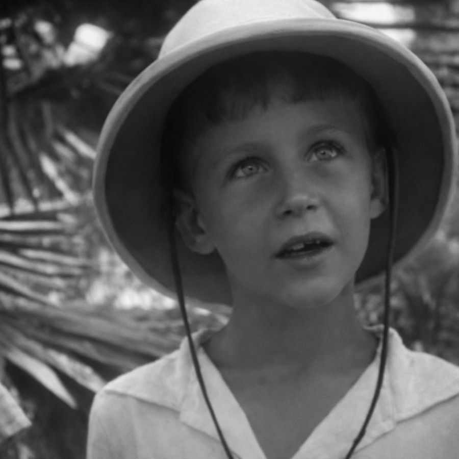 De Indische tafel, jongens van de Japanse kampen | Chassé Cinema Breda