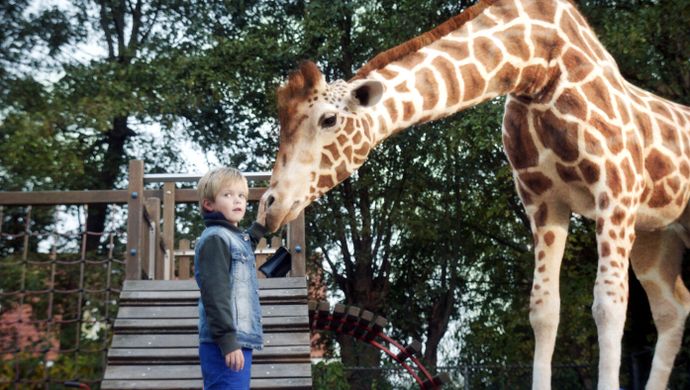 Dikkertje Dap header