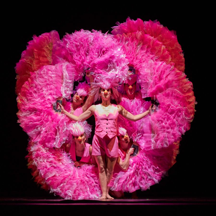 Carnaval der Dieren | Chassé Theater