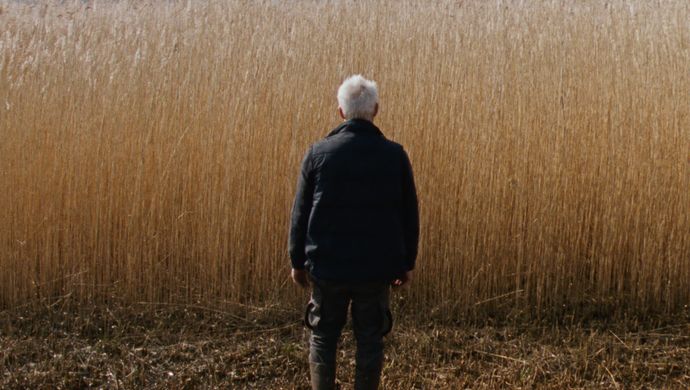 Rietland | Chassé Cinema Breda