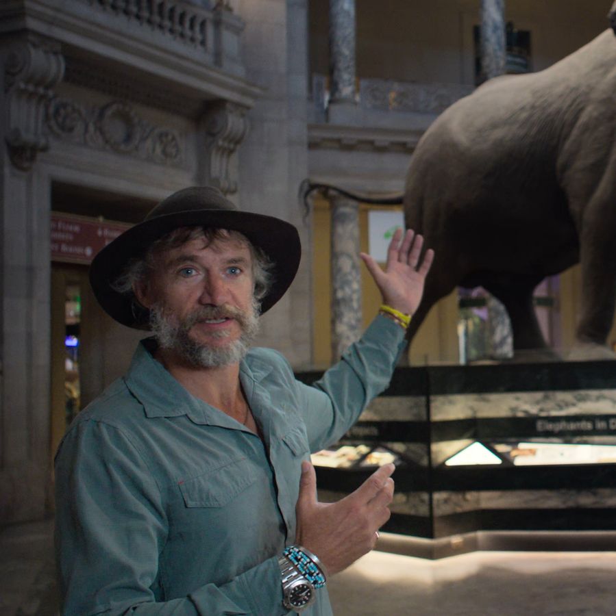 Ghost Elephants  | Chassé Cinema Breda