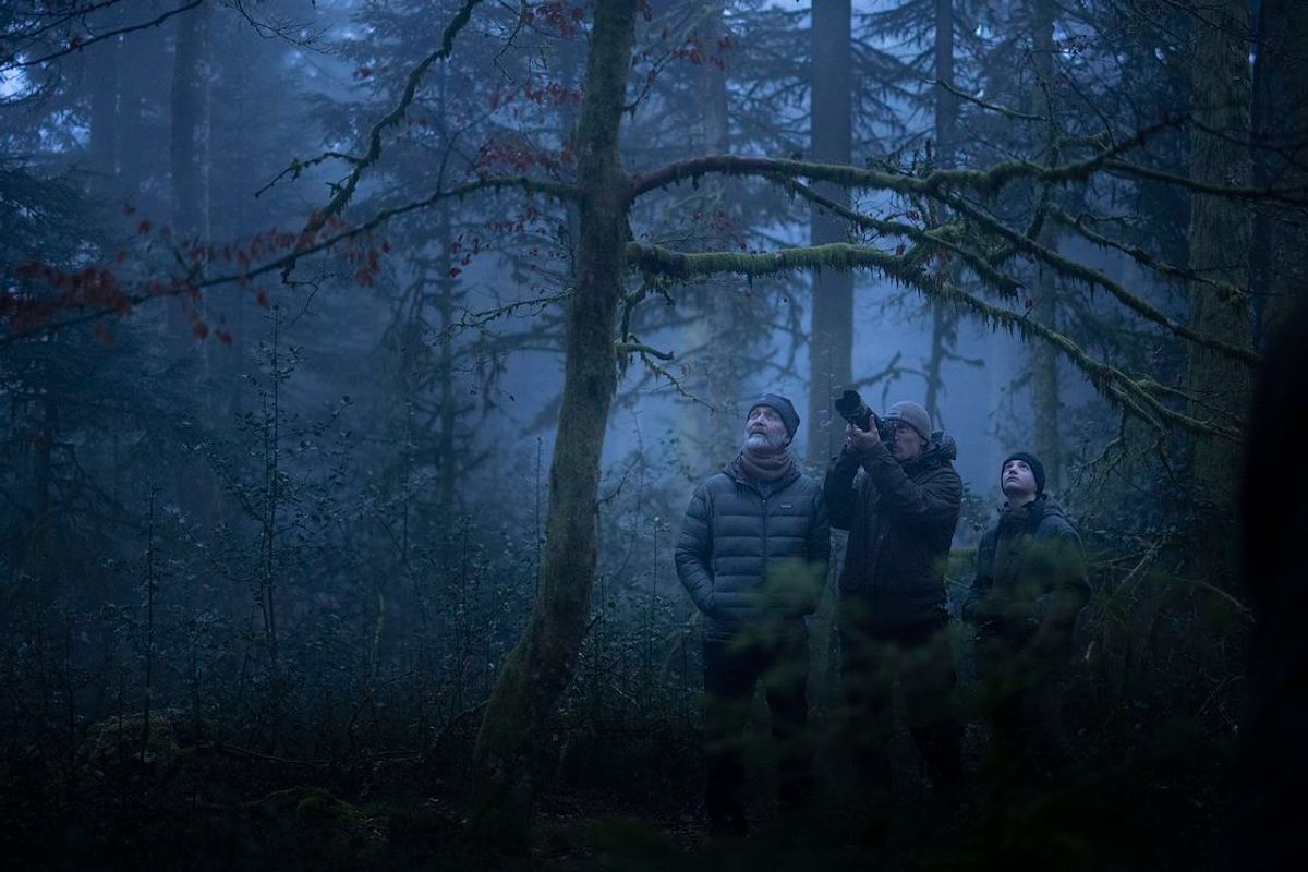 Whispers in the Woods | Chassé Cinema Breda