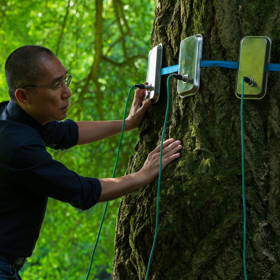 Silent Friend | Chassé Cinema Breda