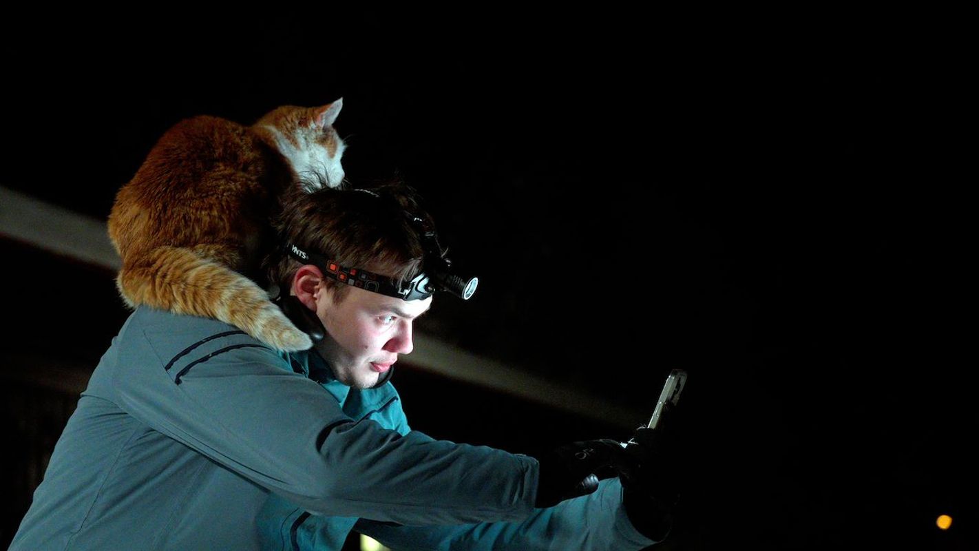 Folktales | Chassé Cinema Breda