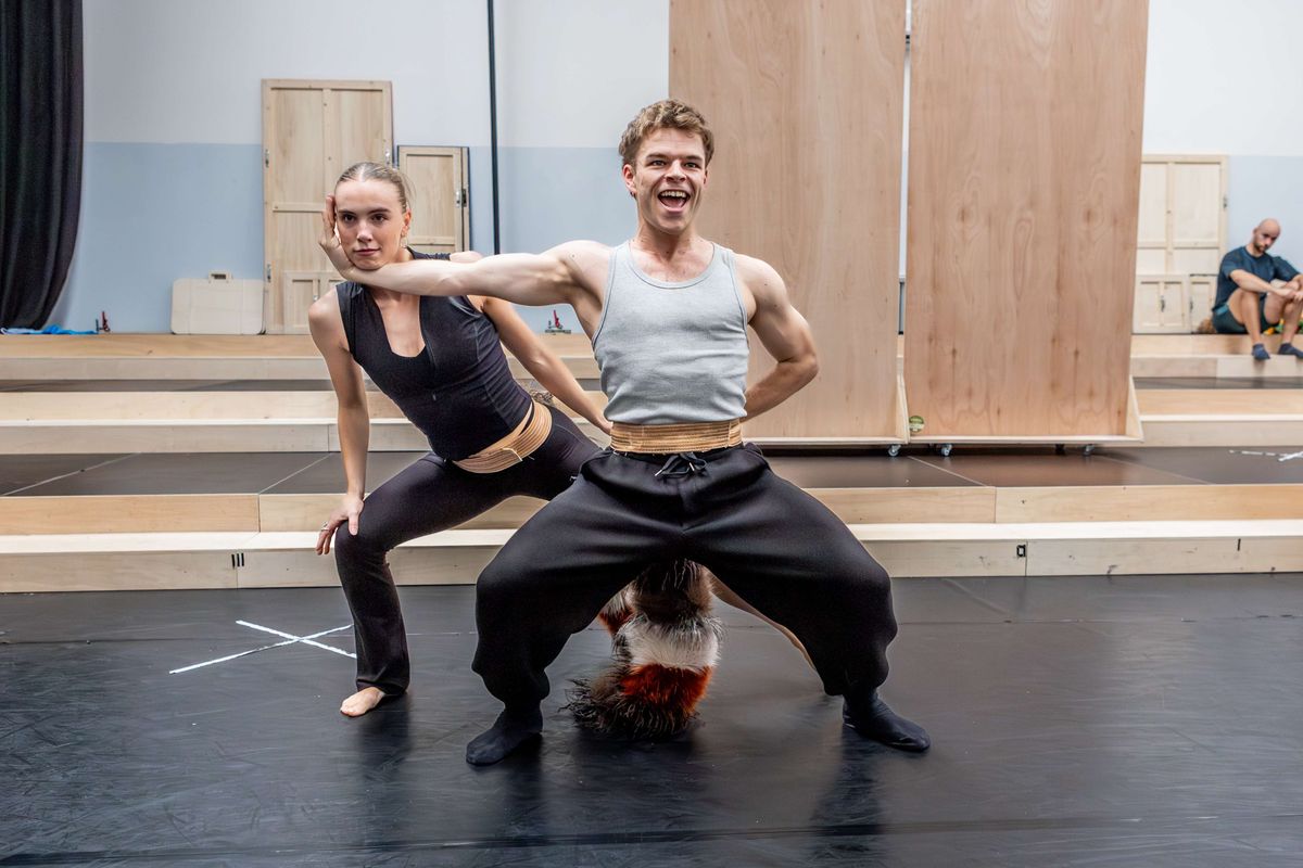 CATS | Chassé Theater Breda