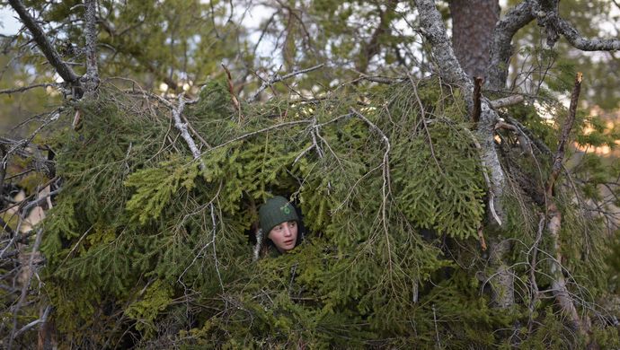 Whispers in the Woods | Chassé Cinema Breda