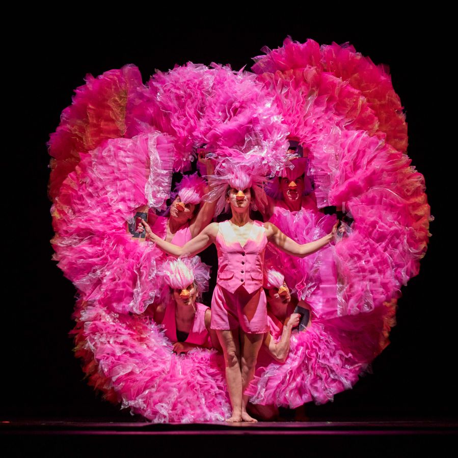 Carnaval der Dieren - Chassé Theater 