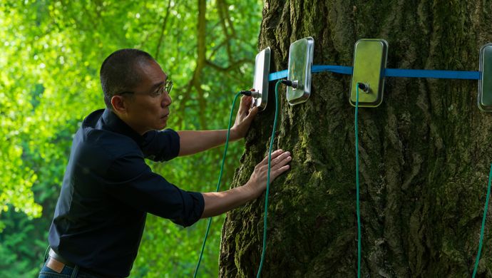 Silent Friend | Chassé Cinema Breda