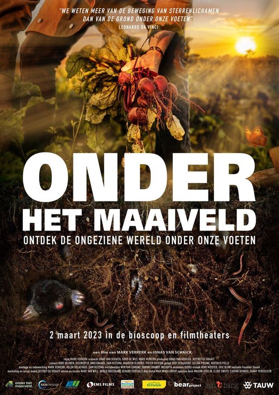 Onder het Maaiveld | Chassé Cinema Breda
